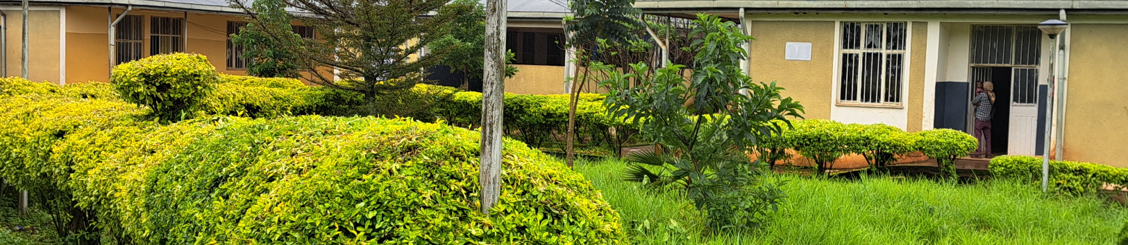 Green Area