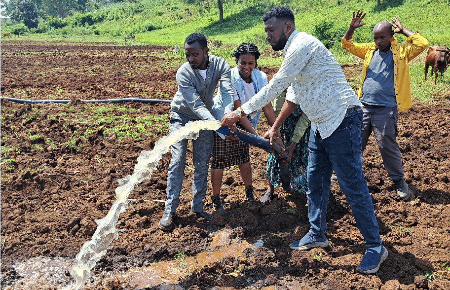 Jallisii (Irrigation)